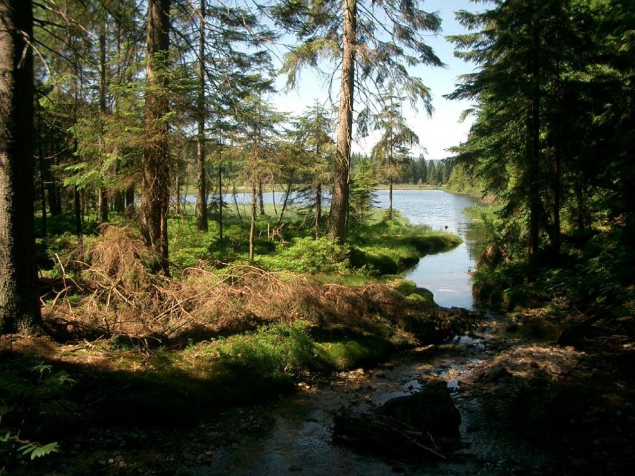 Ferienhof Ellerbeck Langdorf  Esterno foto